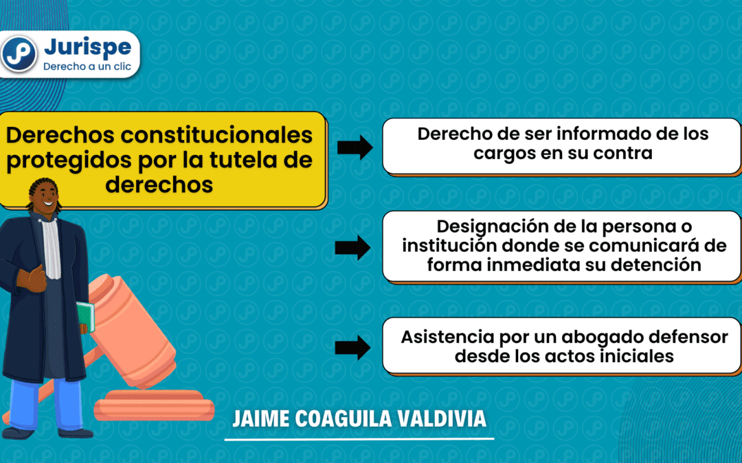 Derechos protegidos por la tutela de derechos. Bien explicado