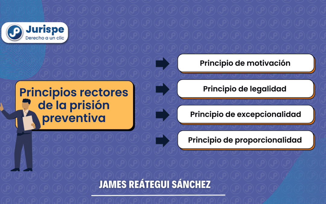 Principios rectores de la prisión preventiva. Bien explicado