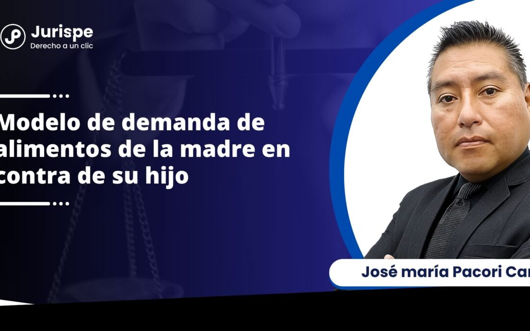 Modelo de demanda de alimentos de la madre en contra de su hijo