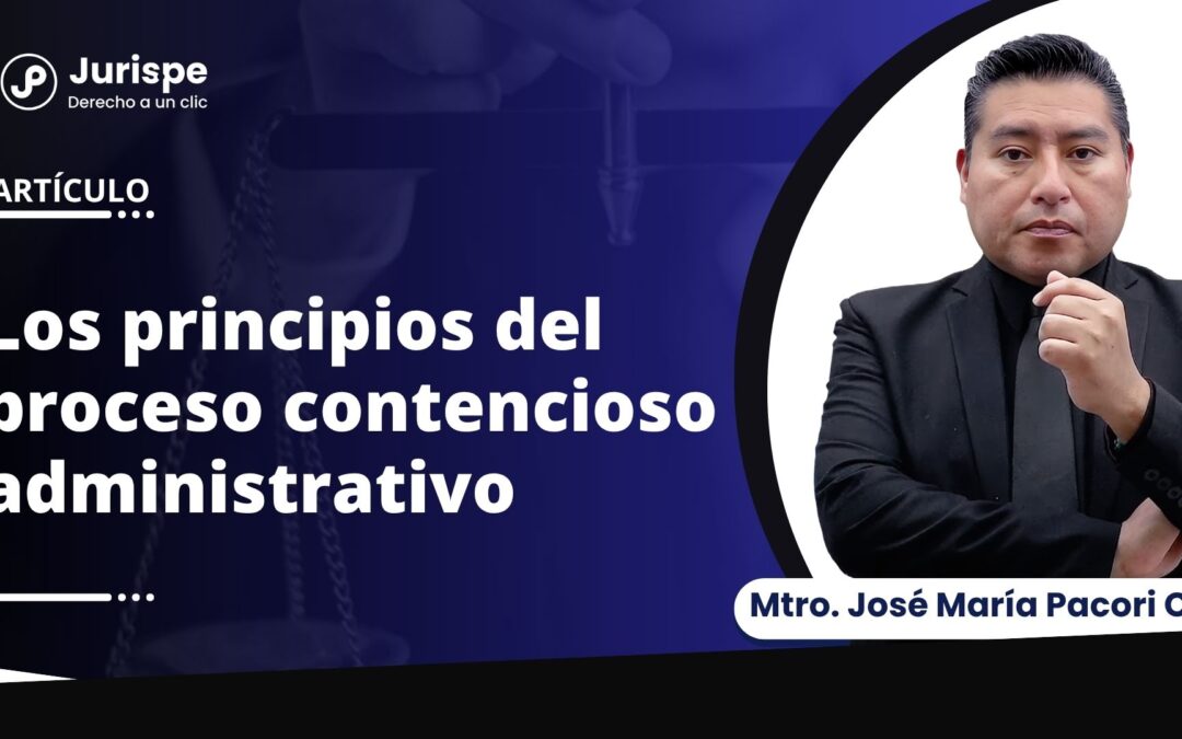 Los principios del proceso contencioso-administrativo